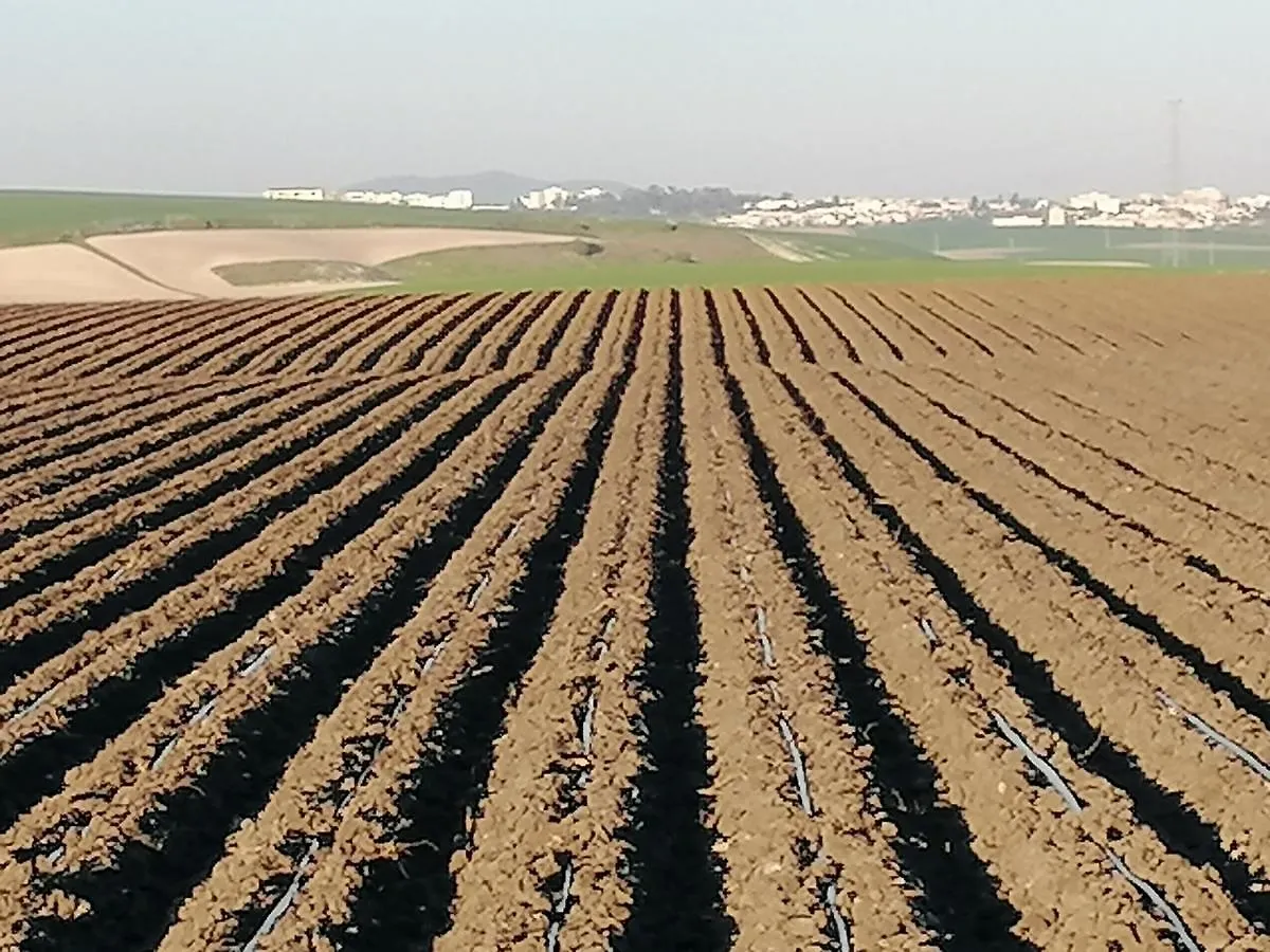 Cortijo Las Manoteras El Puerto de Santa María Βίλα
